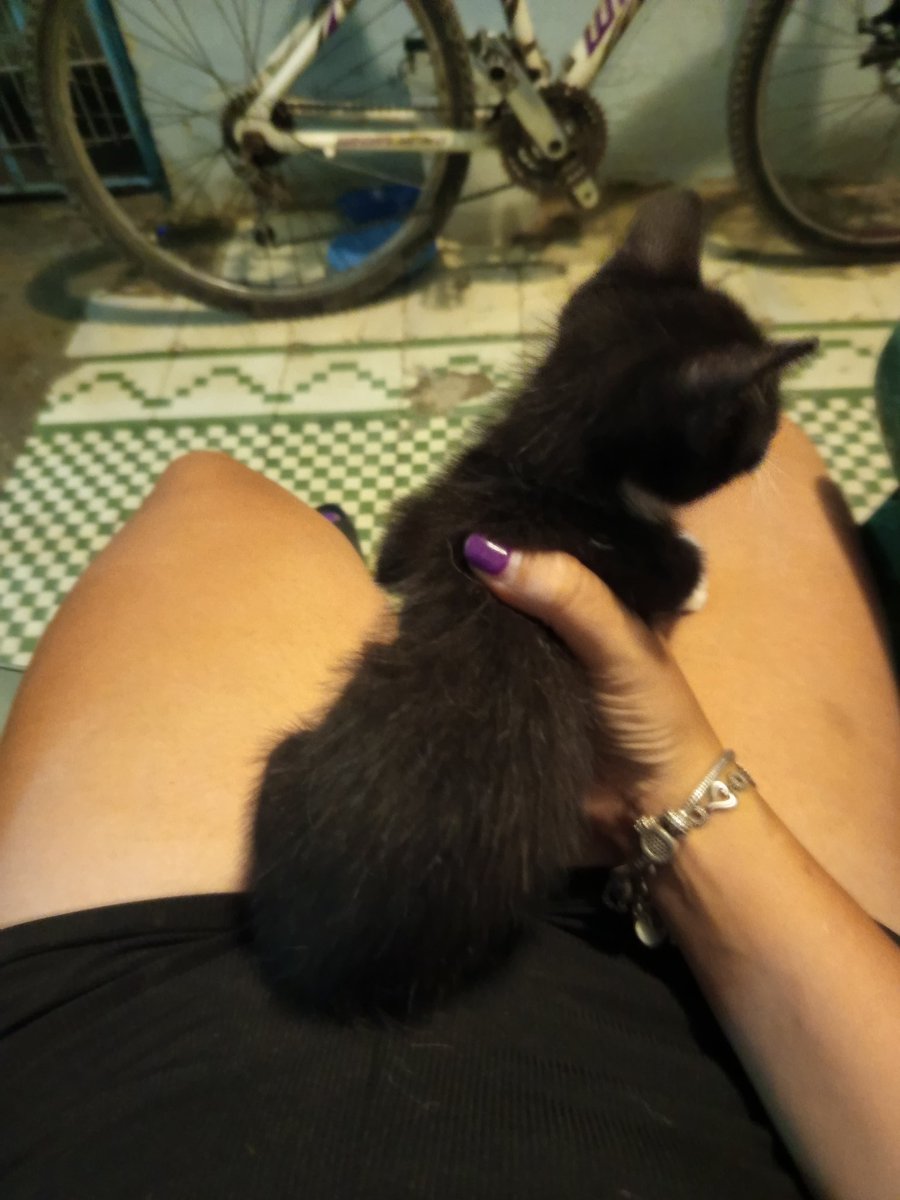 Lic. Historiadora Empingada tweet media