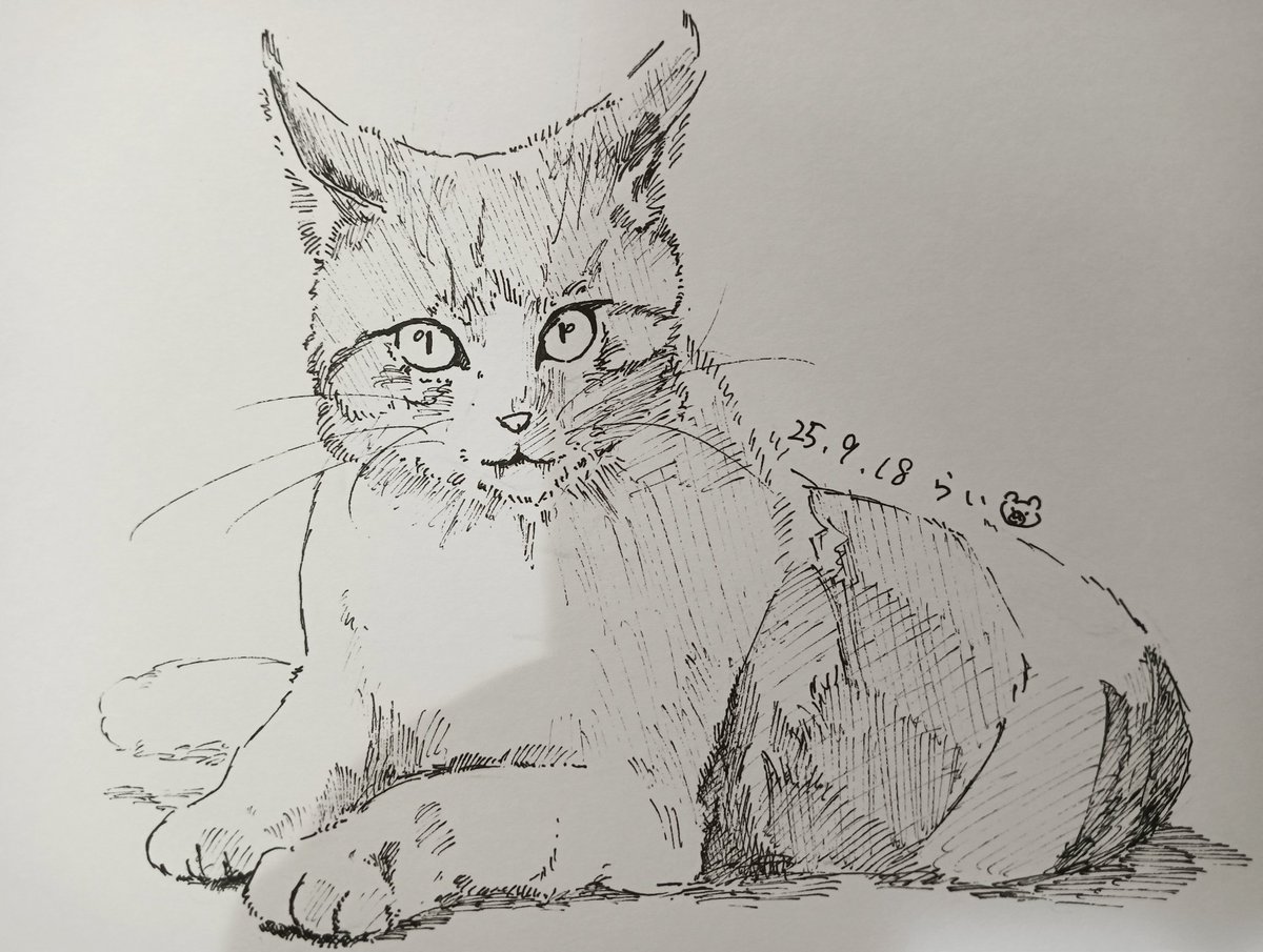 40.ねこ
#ペン画
#ねこ