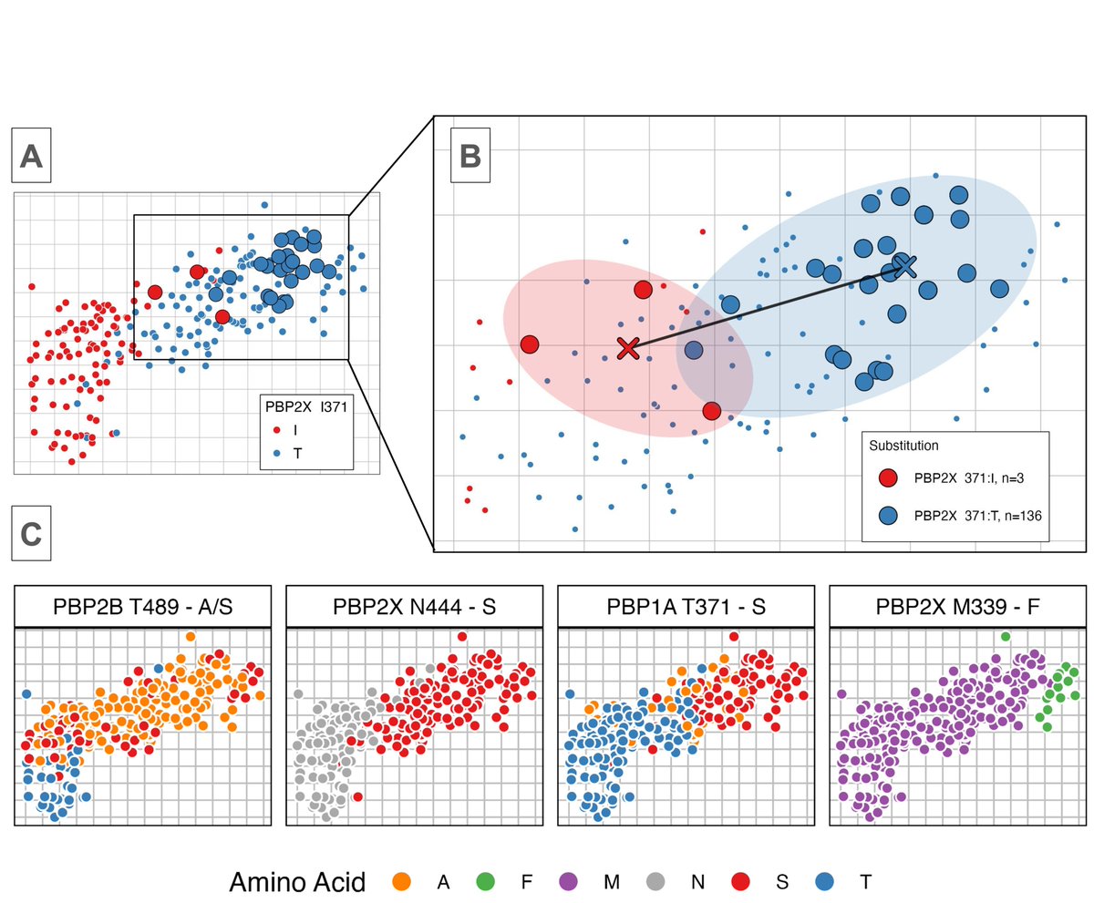Andrew Balmer (@quackscience) on Twitter photo We’ve just posted AMR Cartography on bioRxiv: a way to study multivariate drug resistance and connect it to genotypes. Would love feedback from people working with surveillance MIC data! <a href="/AntibioticResis/">AntibioticResistance</a> <a href="/crypticproject/">CRyPTIC</a>
biorxiv.org/content/10.110… We’ve just posted AMR Cartography on bioRxiv: a way to study multivariate drug resistance and connect it to genotypes. Would love feedback from people working with surveillance MIC data! <a href="/AntibioticResis/">AntibioticResistance</a> <a href="/crypticproject/">CRyPTIC</a>
biorxiv.org/content/10.110…