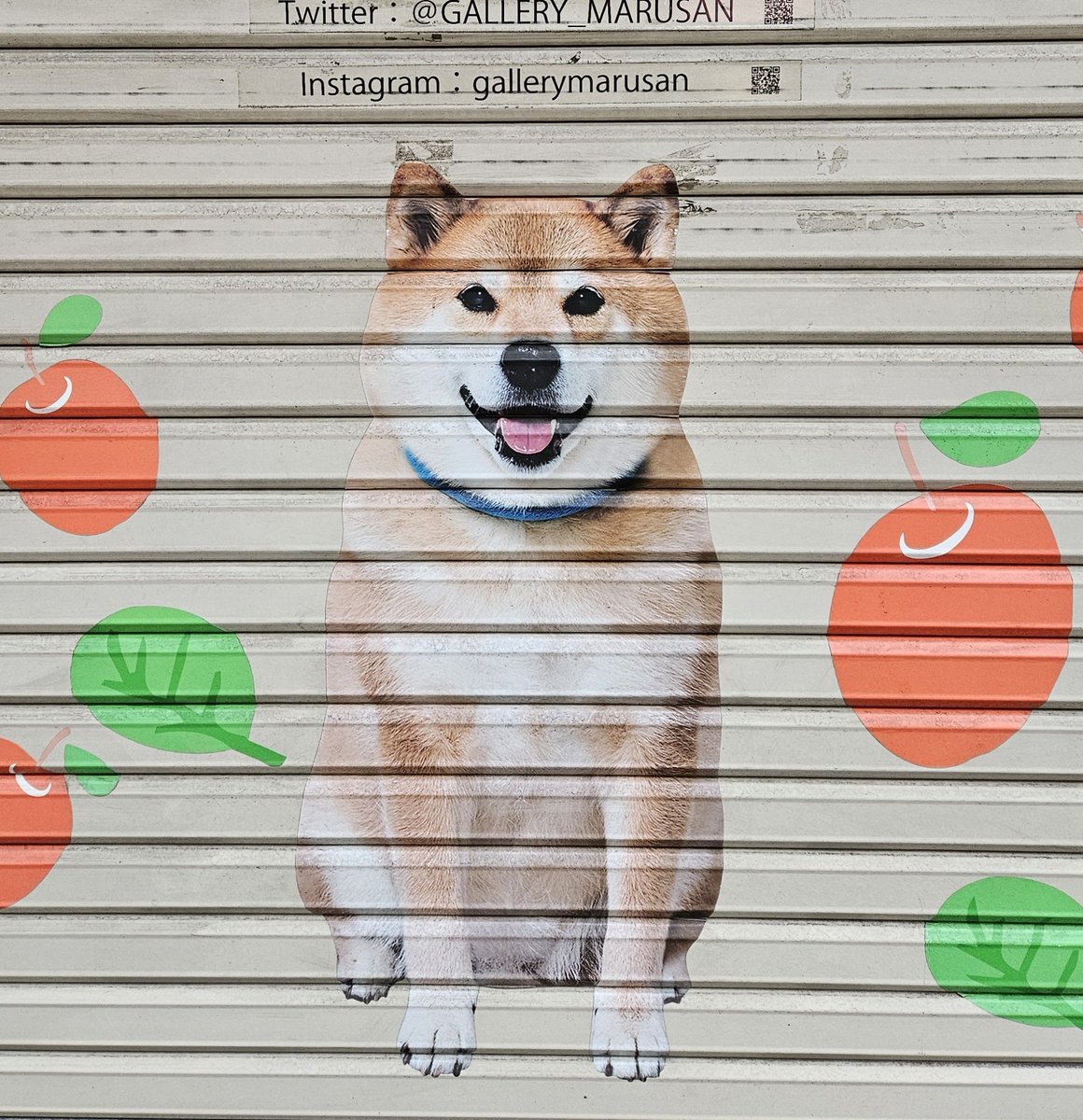 柴犬まる (@marutaro2000) / Posts / X