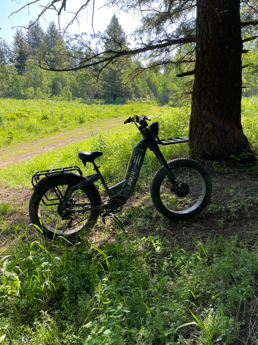 Already missing my Summer hunts and backwoods treks with the Grolar eBike. Nothing beats riding deep into the wild on this beast.
#BirchGrolar #huntingbike #ebike #summer