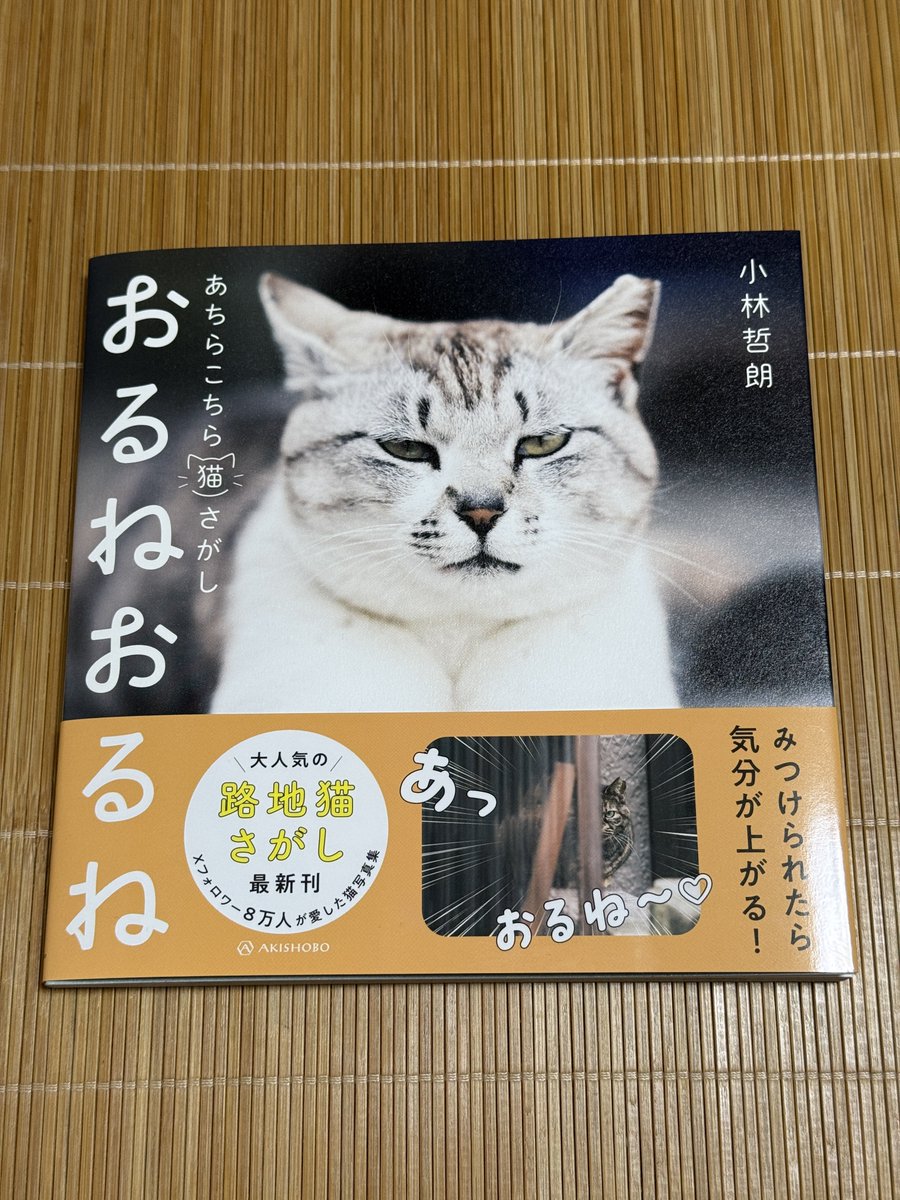 猫のオルゴナイト  訳ありの為ご理解の上ご検討ください。 お詫び・おらんね】 お詫びです。本日、新刊のおるねおるねの製品版が