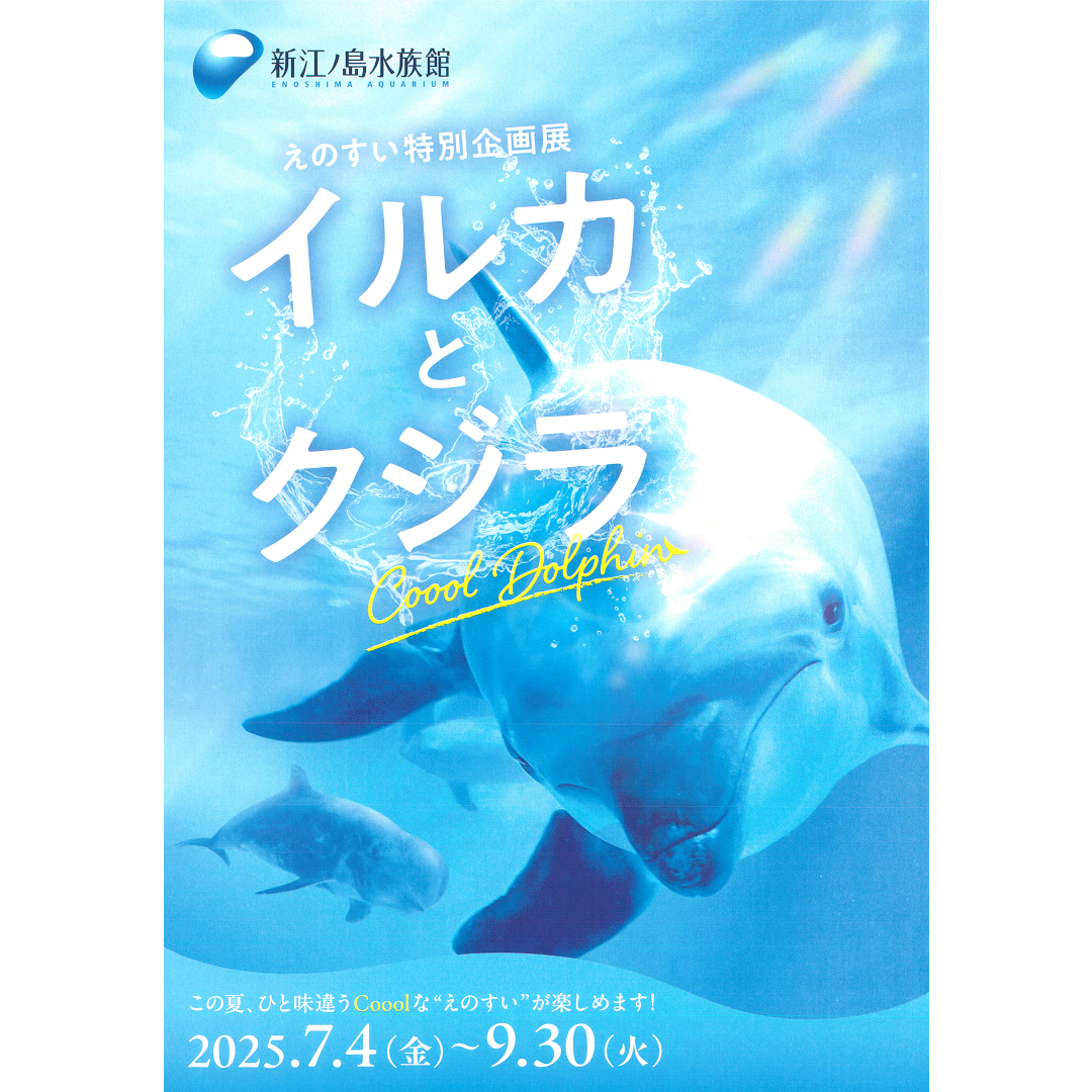 あす21日(日)も 9時より開館いたします。 入場のWEB予約は必要ご