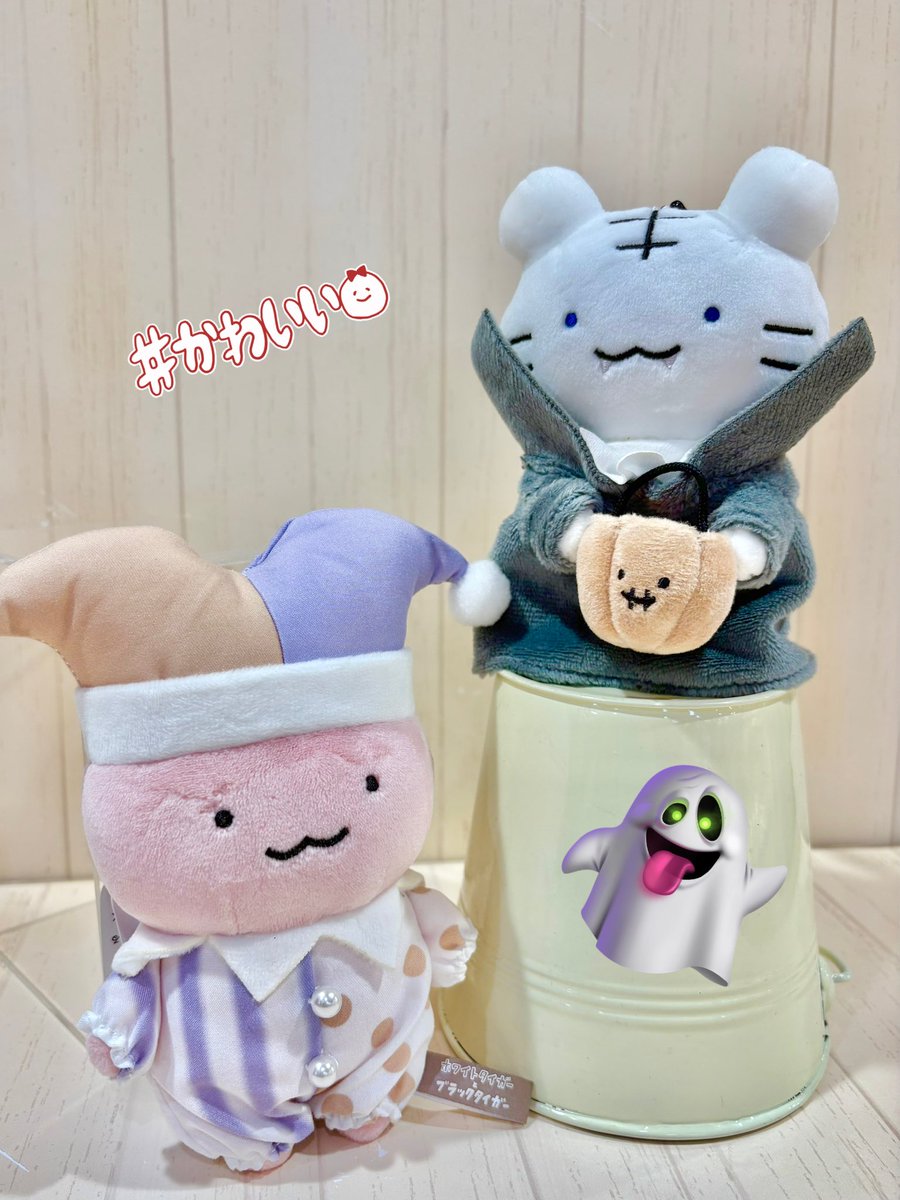 🐰#ホワイトタイガーとブラックタイガー🩺/ 9月19日（金）発売🌟 ＼ 新