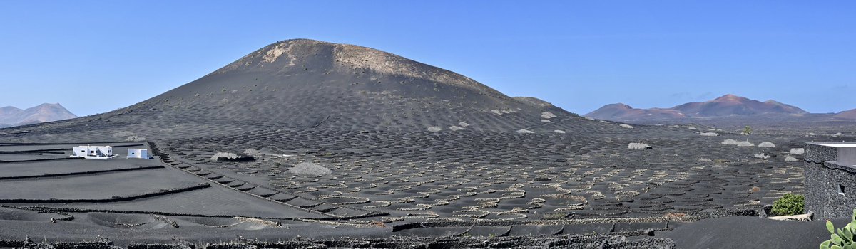 🇮🇨🍇🍷 Learn about the unique wine culture of the volcanic Canary Island #Lanzarote album-editions.com/lanzarote <a href="/PanoPhotos/">Panoramas 📸📱</a> #wine #wineculture #volcanism #CanaryIslands #CanarischeEilanden #travelphotography #reisfotografie
