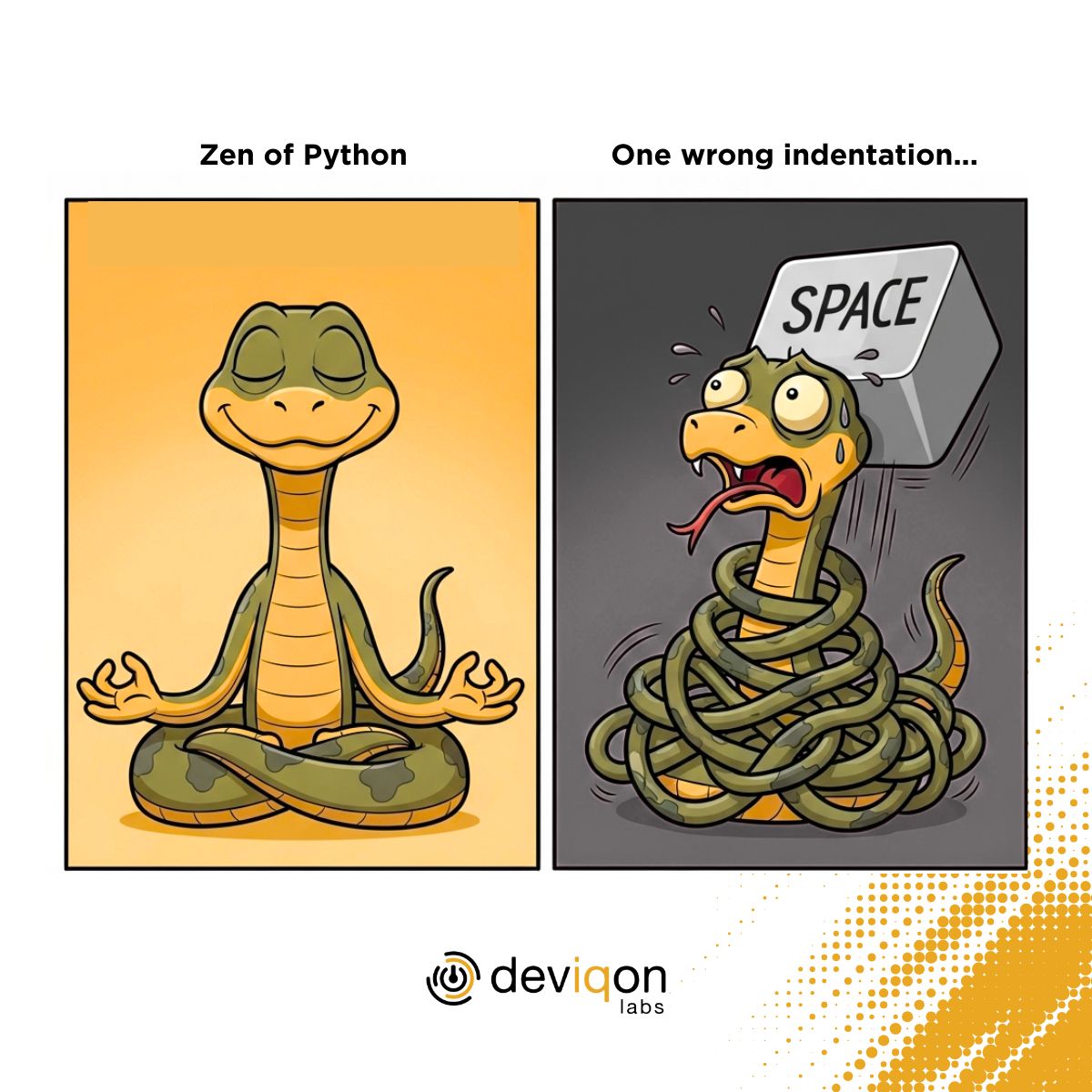 Robert Rotter tweet media