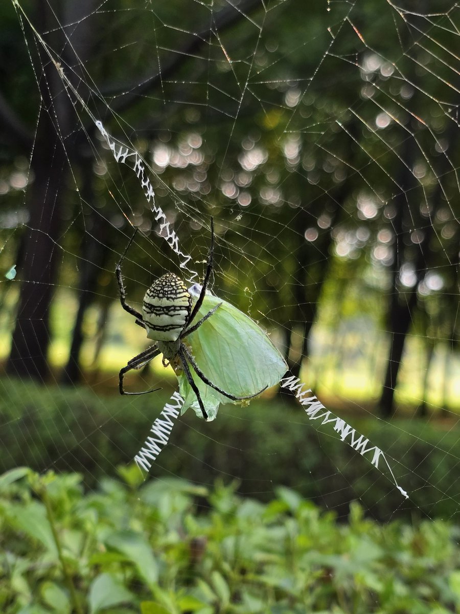 Lakshmi Pillai Gupta tweet media