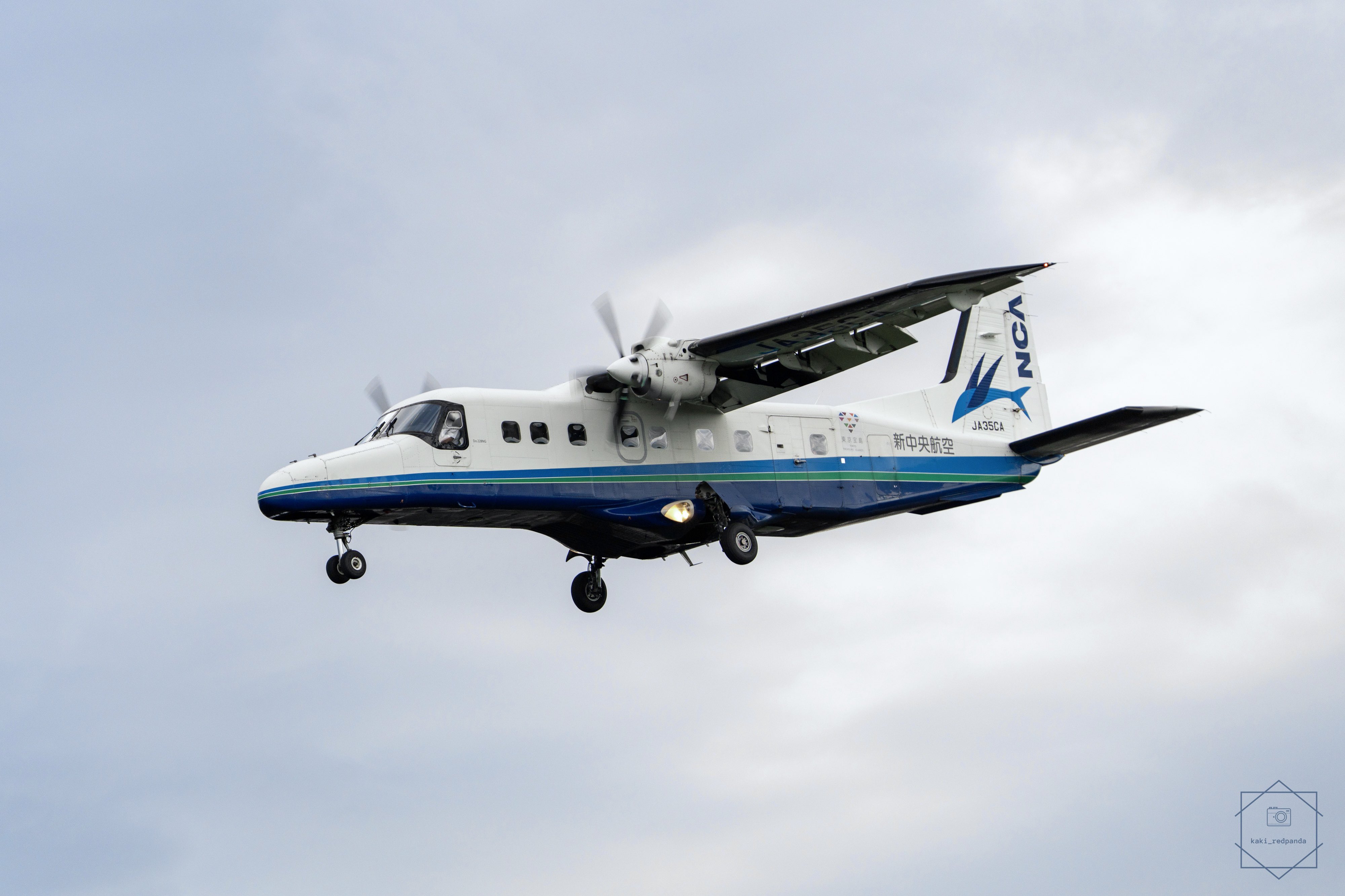 飛べない飛びます カキ on X: 