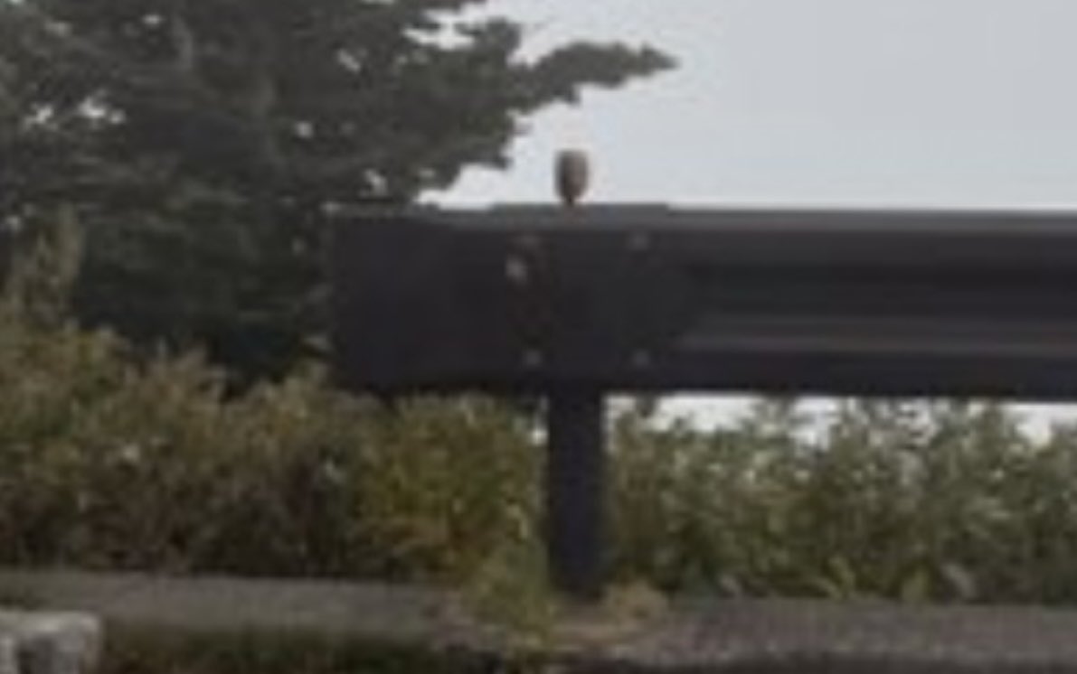 ご報告‼️
今日午前中にポストされてた方から許可頂きました。
ステッカー全て剥がされています。
拡散、ご協力頂いた皆様本当にありがとうございました🙇🏻
ステッカーを貼られた方の中には反省し真摯な対応してくれる方々がいた一方で
次数↓