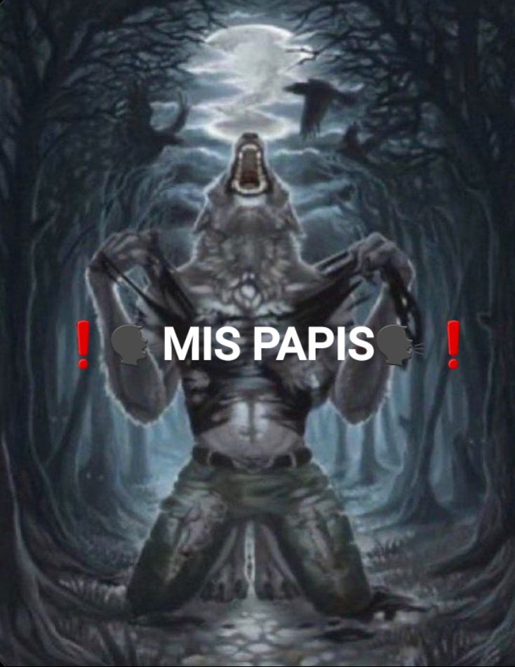 toxixgood's tweet image. ᴍɪs ᴘᴀᴘɪs, ʏᴀ ᴄᴀ́sᴇɴsᴇ 🗣️- [amo tu ship con bill 🦭💖]
@dickeywife 
#mispapis