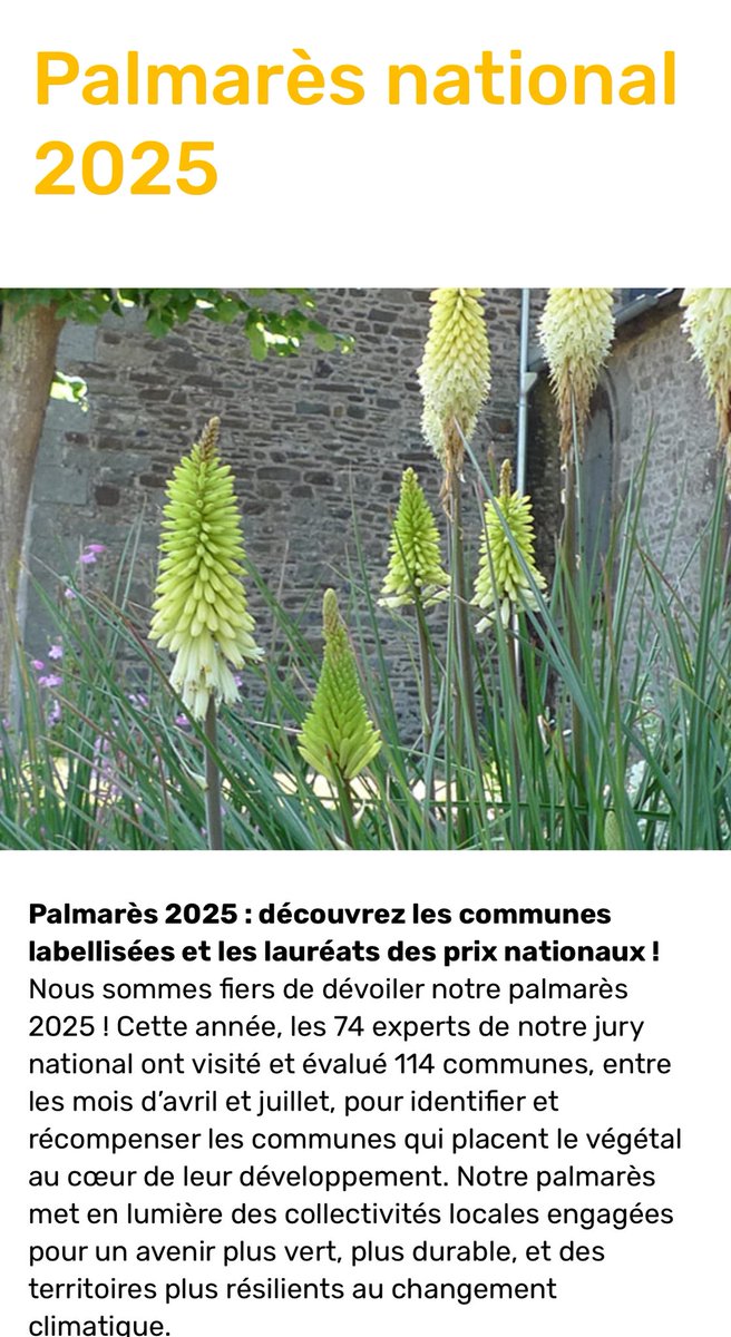 Fierté pour Cherbourg-en-Cotentin, la ville maintient son prestigieux label 4 fleurs et se voit décerner : la Fleur d’Or 2025. Une belle reconnaissance du travail quotidien de nos agents et de la politique municipale en faveur d’un cadre de vie toujours plus fleuri et durable.