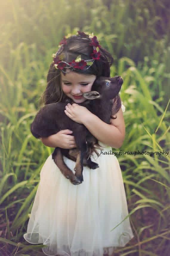 تقول العرب لا تمنح ثقتك لأحد حتى تستبين أربعًا :

حياؤه .. وحسن ظنه .. وثبات وده .. وتقديمه للحق على نفسه.