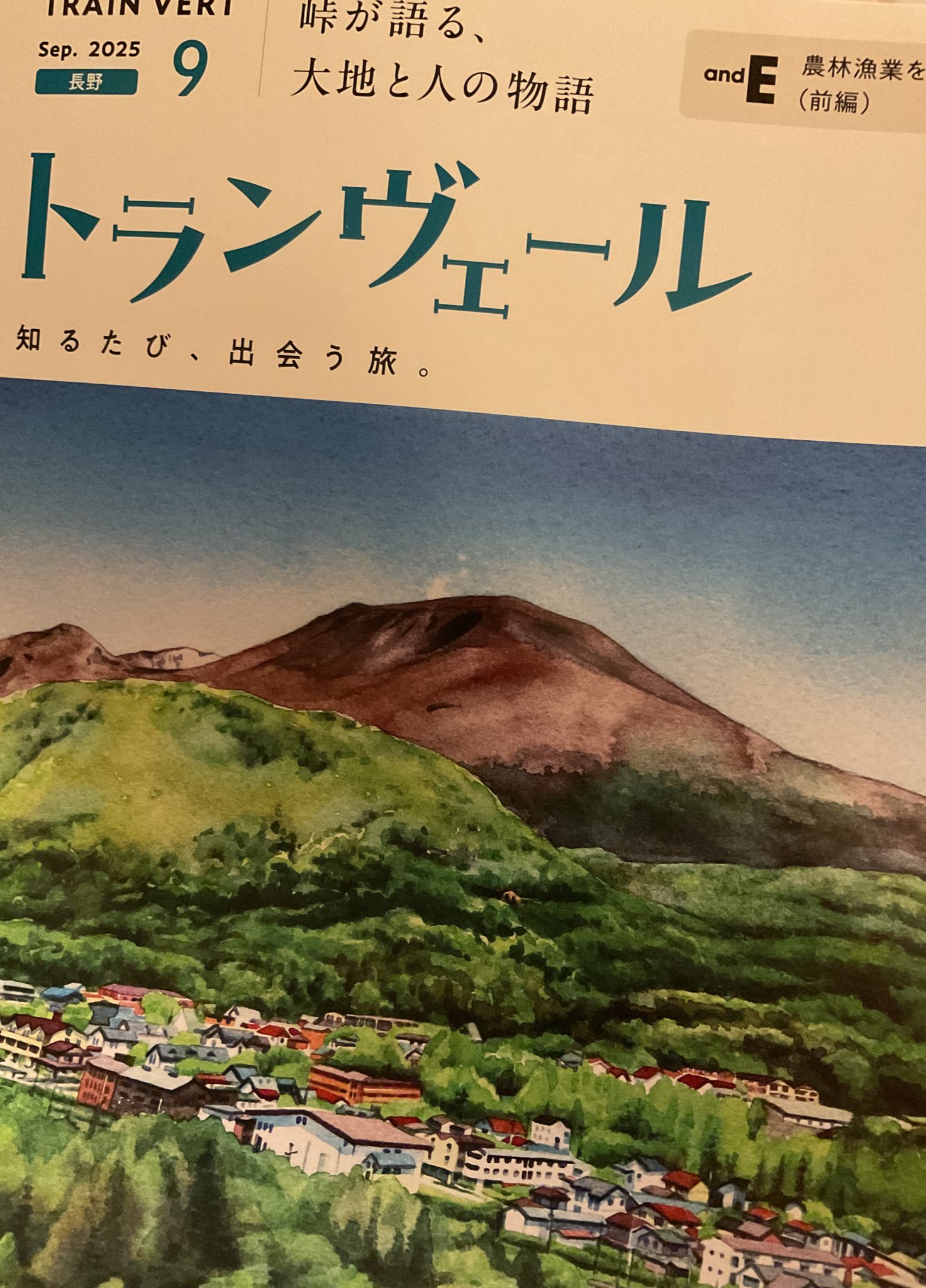 そこらへんの落ち葉 IMG_9362_600x.jpg?v=1730458267