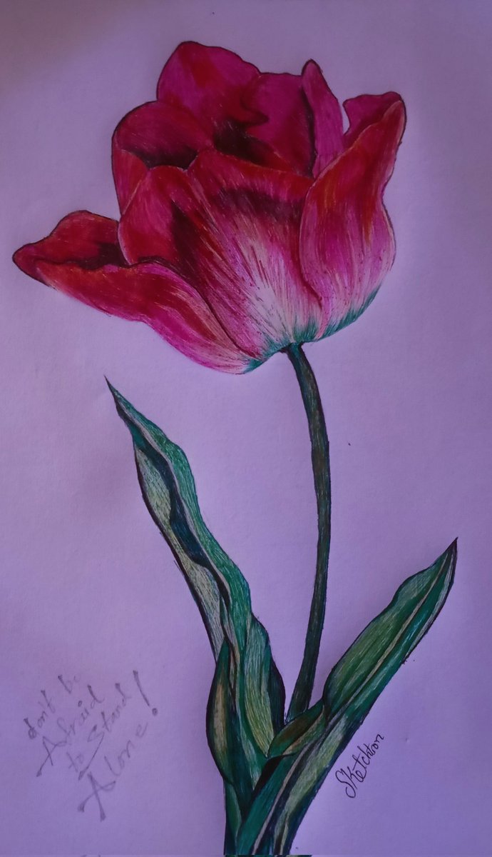 sketch_tron's tweet image. Sometimes the path in Web3  feels lonely.

But those who dare to stand alone often end up ahead of the crowd.

Gm