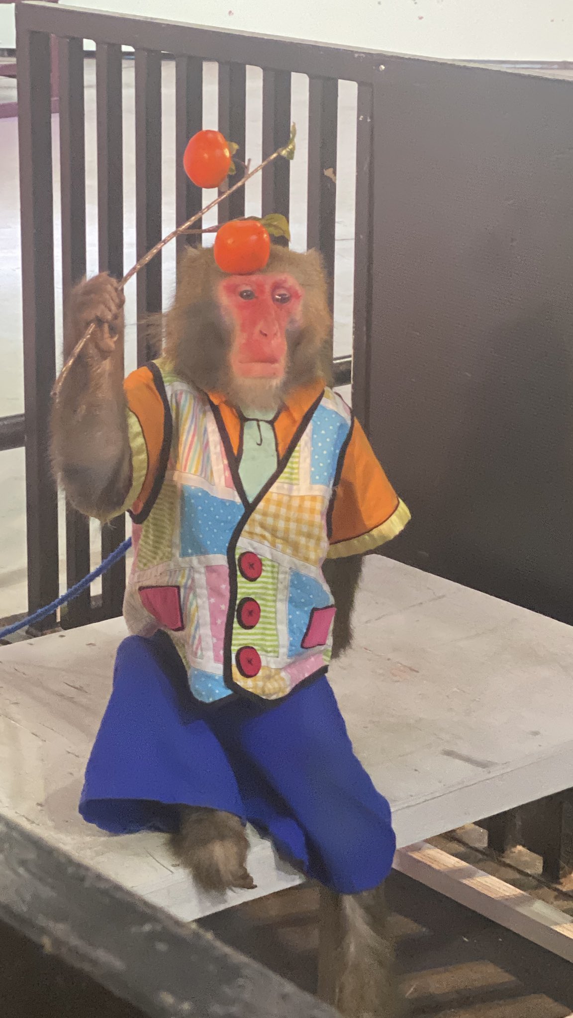 カイ君ページ 賭博堕天録カイジ 24億脱出編（8）』（福本 伸行）｜講談社