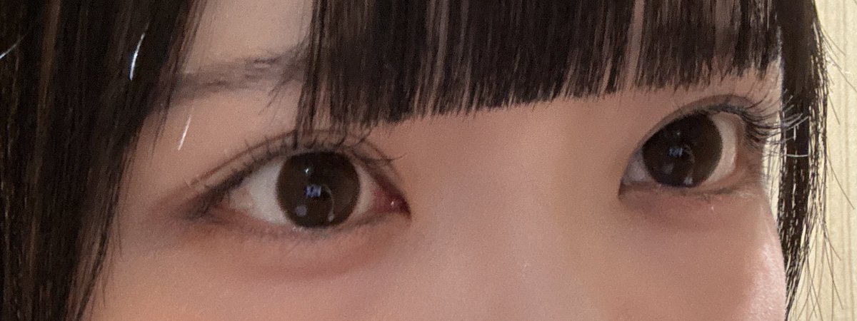 えび tweet media