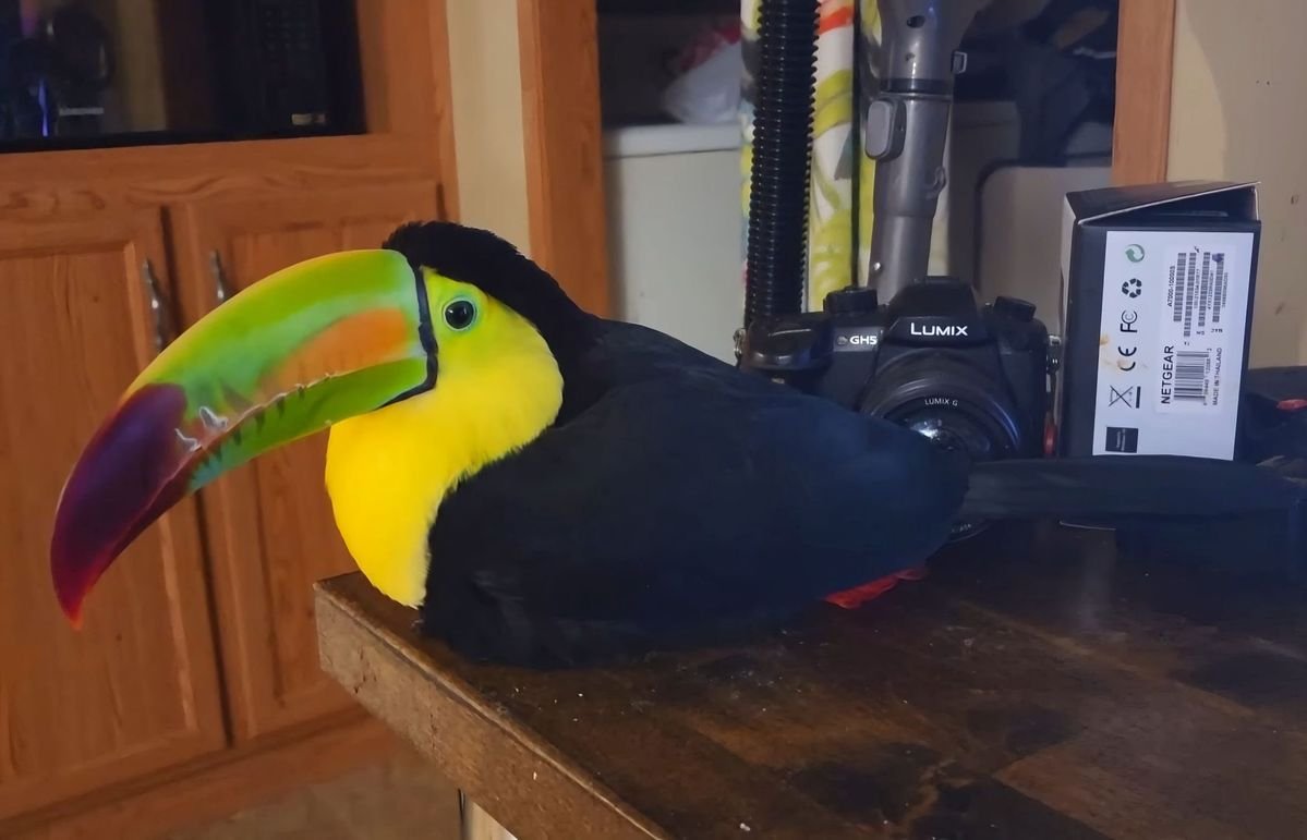 this is my loaf of bread i am going to CUT him up into SLICES and EAT him