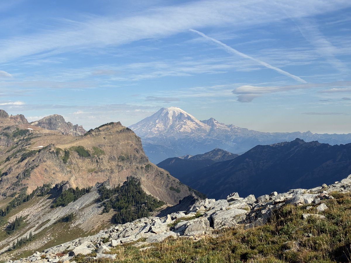 donutswdad tweet media