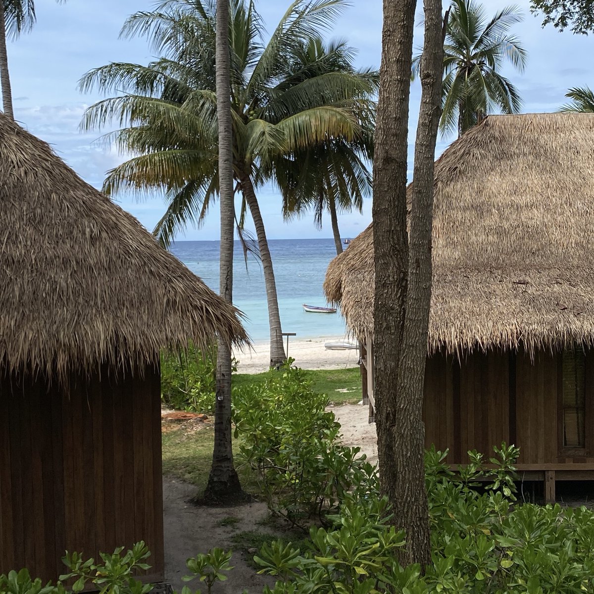 จริงๆ แล้วปีนี้ชั้นก็พึ่งไปเกาะเต่ามา 🏝️
เที่ยวคนเดียวเหมือนเดิมแล้วก็พักที่เดิม

อยากไปอีกหลายๆ รอบ