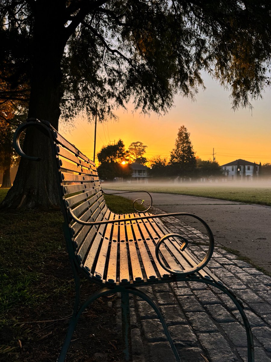 “Write it on your heart that every day is the best day in the year.” - Ralph Waldo Emerson 🌞🌳 

#GoodMorning #Lakeview