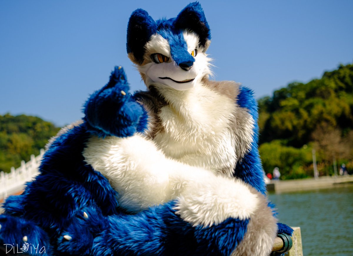 夏☀️

📸 <a href="/howard5566183/">迪麗雅</a> 
#FursuitFriday
#犬工房