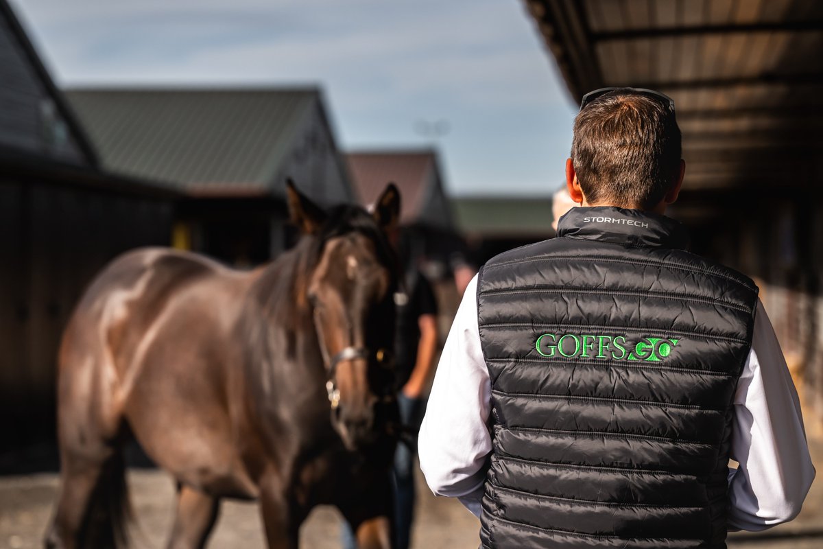 GoffsGo's tweet image. 𝗚𝗢𝗙𝗙𝗦𝗚𝗢 𝗚𝗜𝗩𝗘𝗔𝗪𝗔𝗬 🌟

We are giving away a #GoffsGo gilet to one lucky winner! 

To enter:

✅ Like &amp;amp; repost 
✅ Follow @GoffsGo

Winner announced Friday 26 September 📣