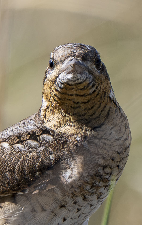 4 more images from Spurn.