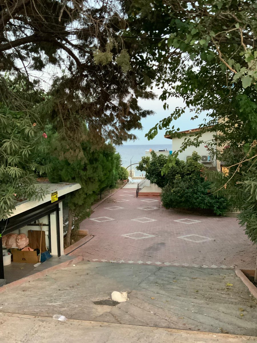 Deniz gün ışığı 🤍