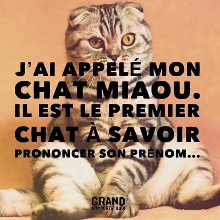 Adea Claude (@adeaclaude) on Twitter photo 