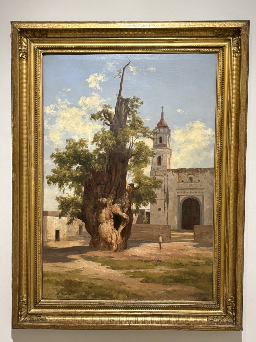 🍉 Árboles de la Ciudad de México 🍉 (@arbolescdmx) on Twitter photo Te amo cuadro del Árbol de la Noche Triste (Ahora Victoriosa) de José Maria Velasco.
Ahora me doy cuenta que la composición de este cuadro es algo que me gusta mucho en las fotos que hago y veo, es el árbol en el ambiente urbano. Te amo cuadro del Árbol de la Noche Triste (Ahora Victoriosa) de José Maria Velasco.
Ahora me doy cuenta que la composición de este cuadro es algo que me gusta mucho en las fotos que hago y veo, es el árbol en el ambiente urbano.