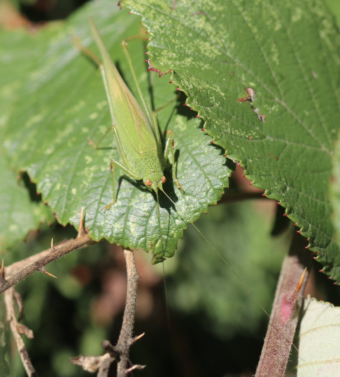 Martin Hey tweet media