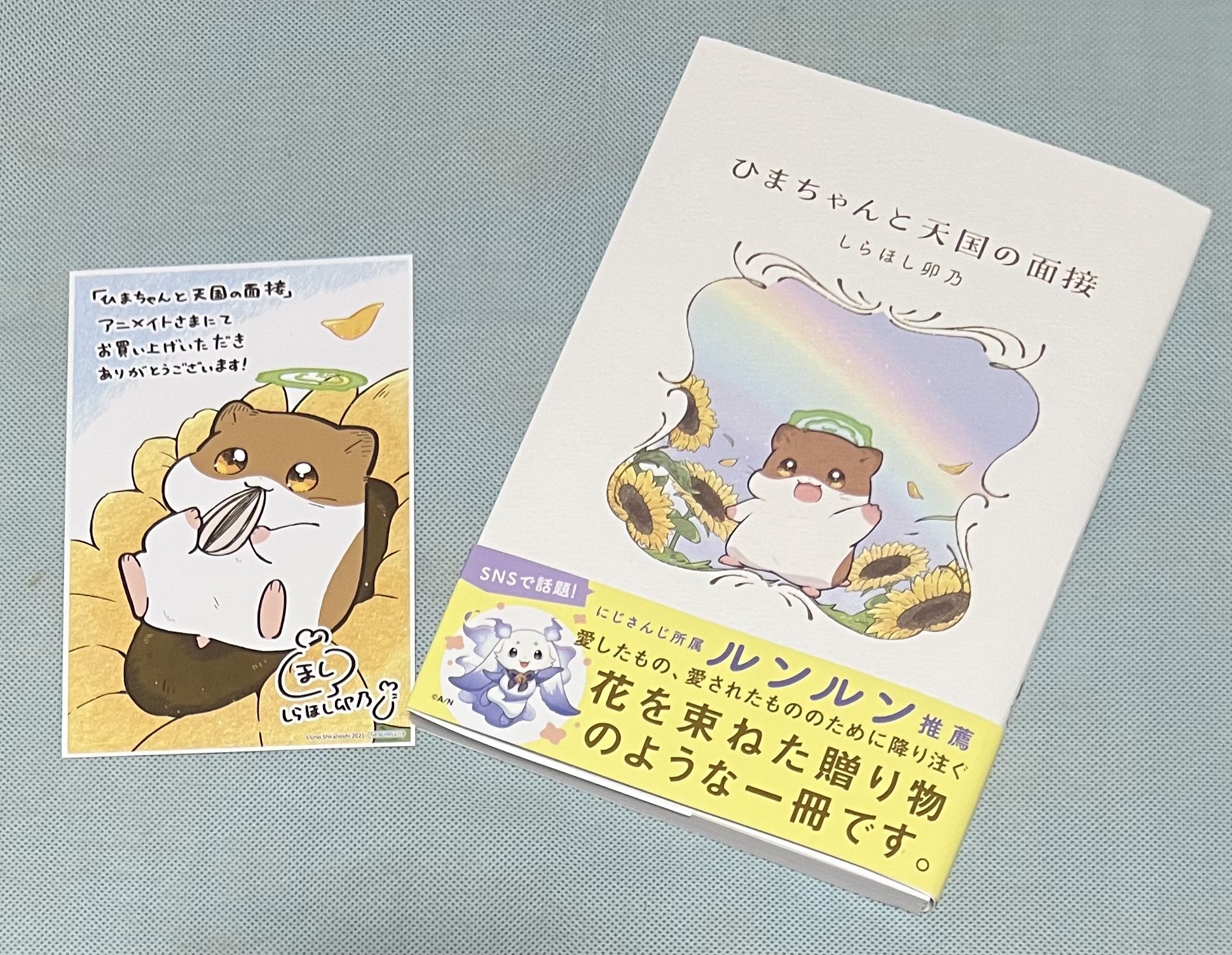 るんるんさん専用 櫻坂46 addiction るんるんさん専用 CD