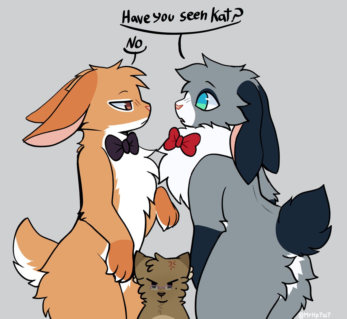 where's the cat at? 🐱