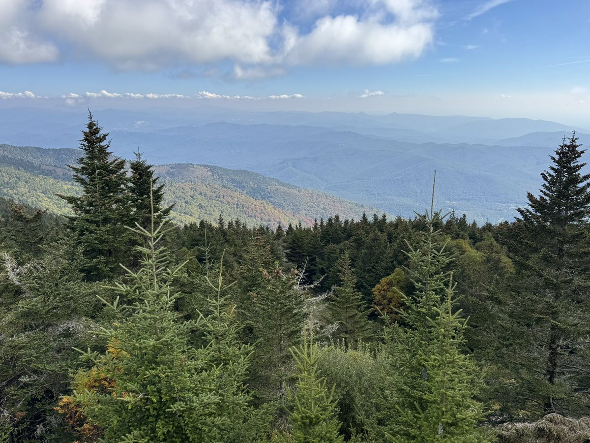 📍Mt. Mitchell State Park

Almost a year since Helene, this beautiful park is back open. <a href="/WLOS_13/">WLOS</a>