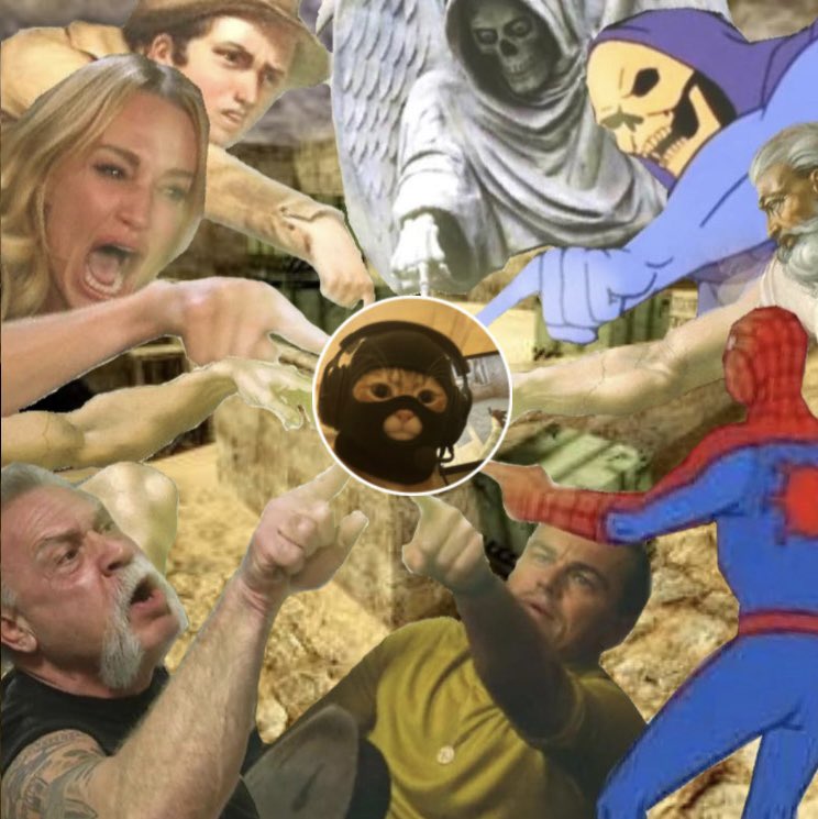 1 cat can change your life