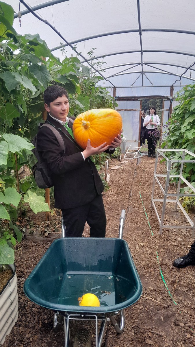 City Academy Norwich tweet media