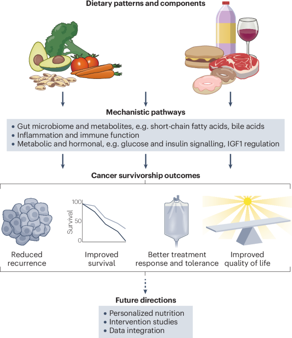 New online! Food as medicine in gastrointestinal cancer therapy bit.ly/3K6joeB