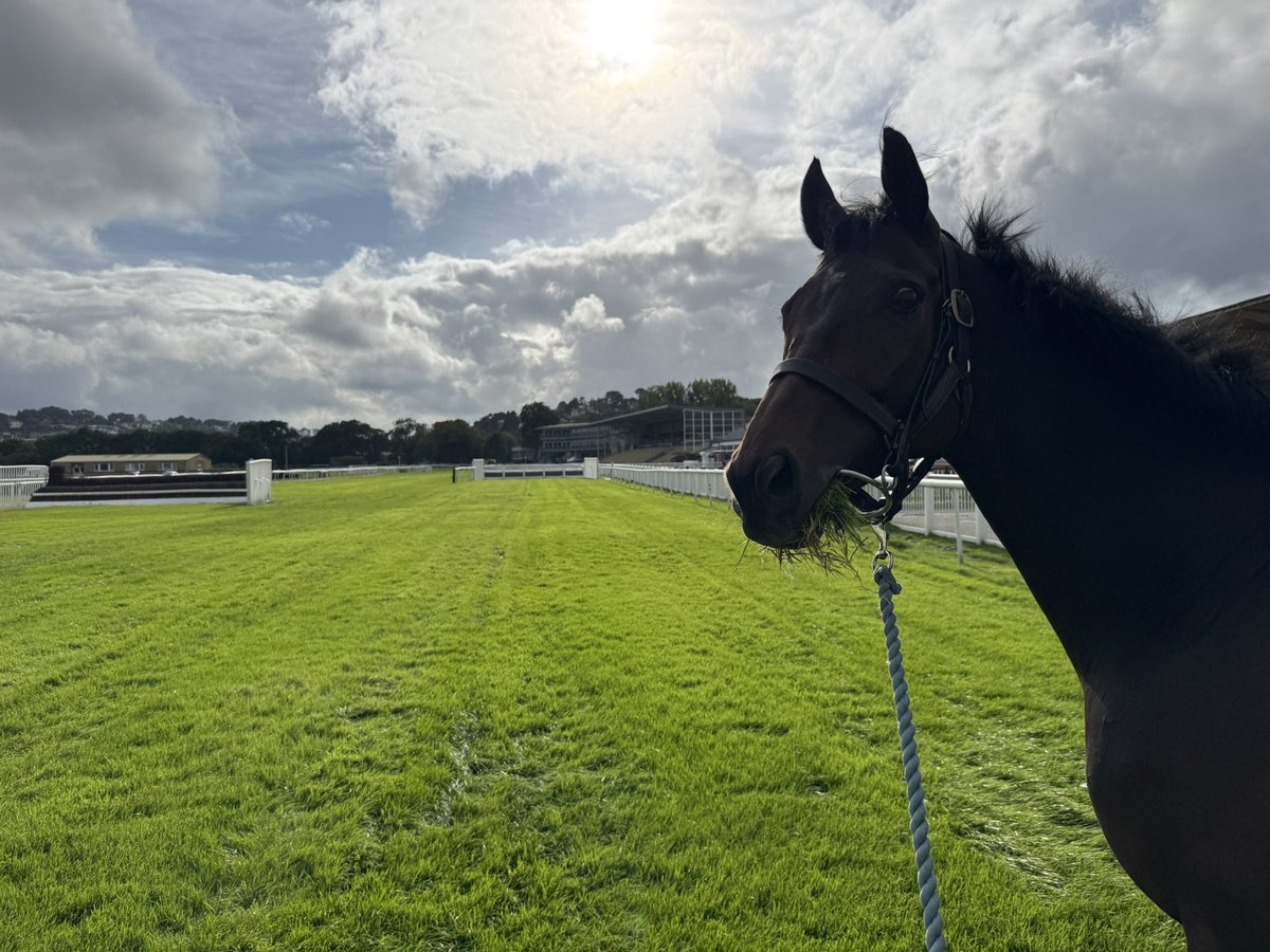 James Moffatt Racing Stables tweet media