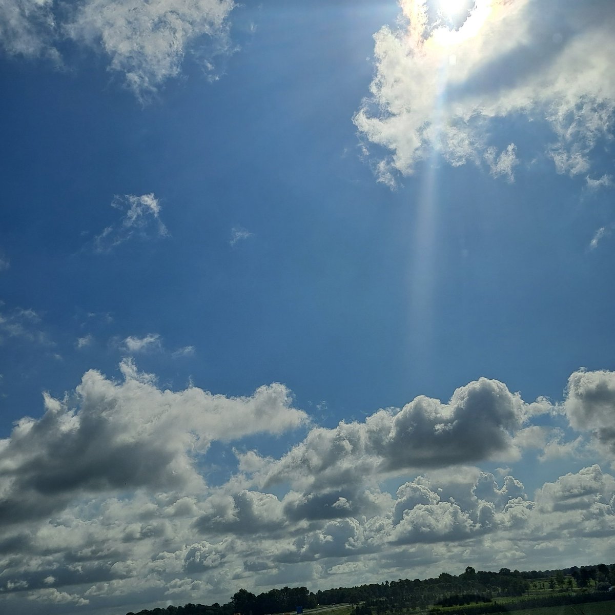 YvonneGrevelink's tweet photo. Goedemorgen, op Dag18 zijn de #zonneharpen / #jacobsladders aan de beurt bij #Septemberweer van โฆ@LisetteOpTexelโฉ een mooi natuurverschijnsel met zichtbare lichtstralen die door de bomen schijnen.
Fijne donderdag๐ https://t.co/5Gslz0a2bT
