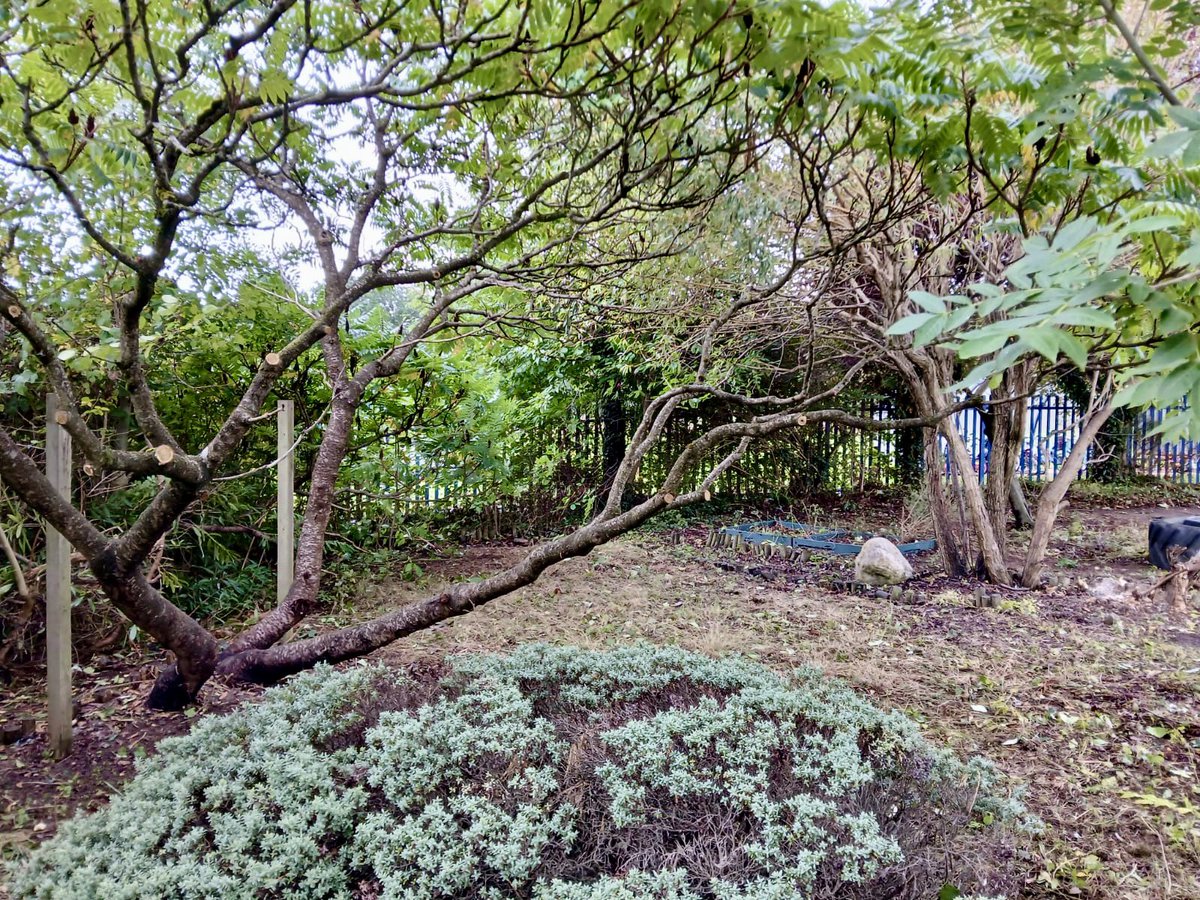 Birmingham Pathfinder tweet media