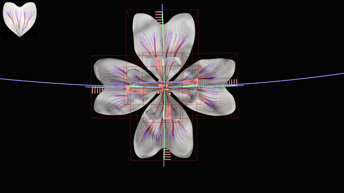 Marcin Ignac tweet media