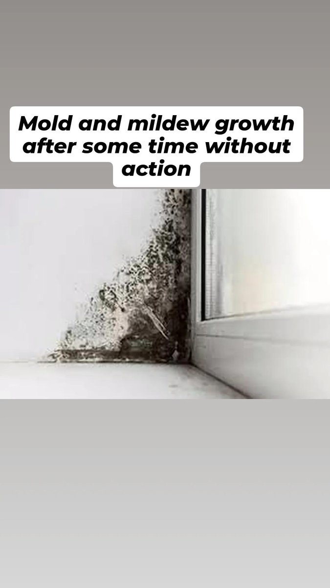 ali_bugali's tweet photo. With our watershield cement, you can prevent your structures from all these problems. what  are you waiting for?

call and WhatsApp 📞: 08035361927

Location: Abuja and Nationwide delivery https://t.co/uQU1viYqBB