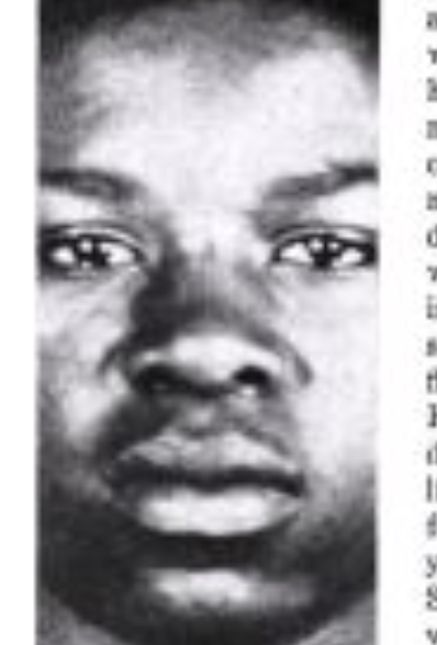 FischerKing tweet media