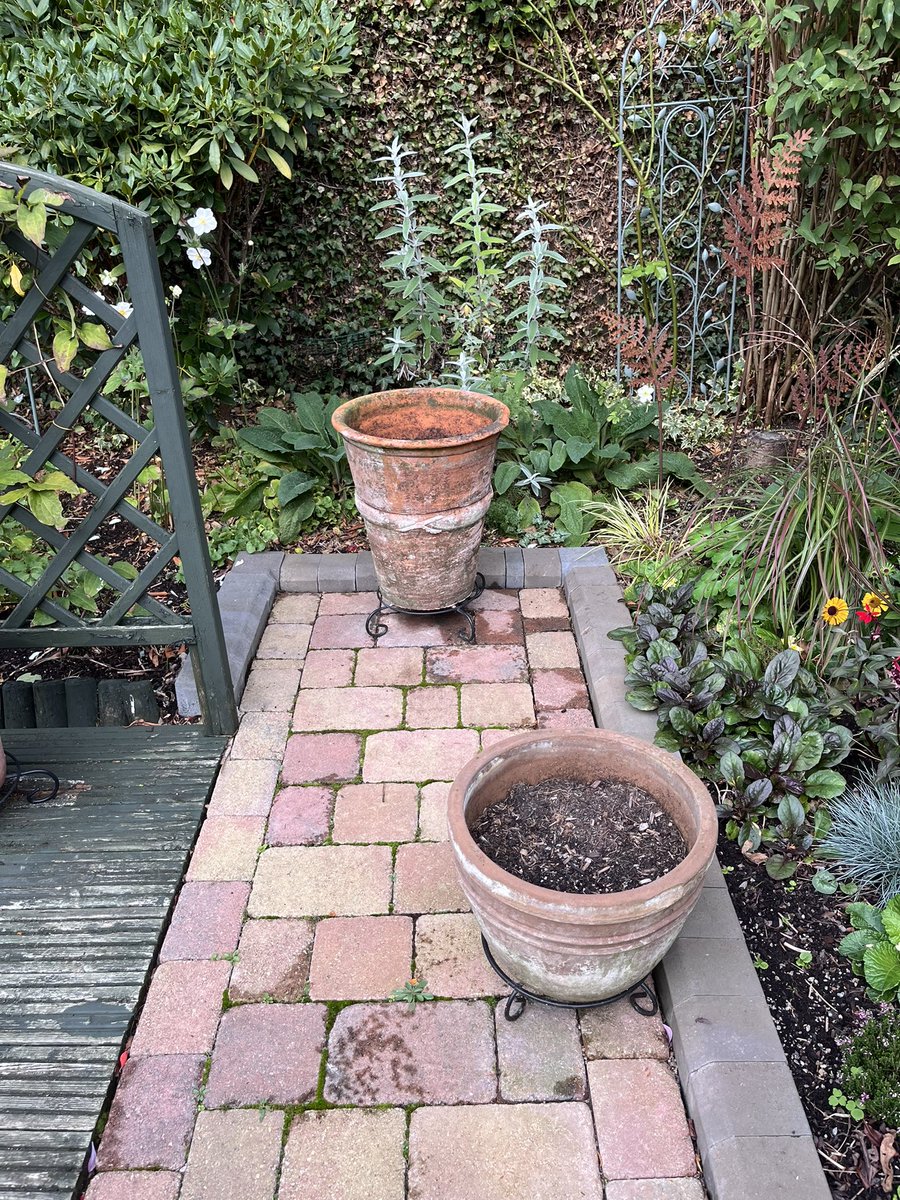 Managed to empty more pots so I’m quite pleased with this afternoon’s efforts. #gardening #gardeninglife