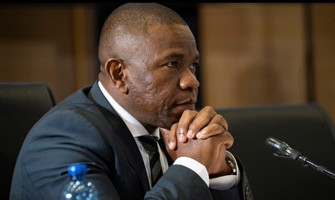 General Mkhwanazi is an inspiration to MANY South Africans🇿🇦 who are fed up of illegal things happening in this country!!