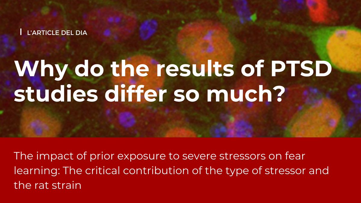 In our #articledeldia, researchers at Dr. Antonio Armario's lab provide valuable insights to improve the design and interpretation of PTSD research.
Read it: pubmed.ncbi.nlm.nih.gov/40907785/
🧵(1/7)