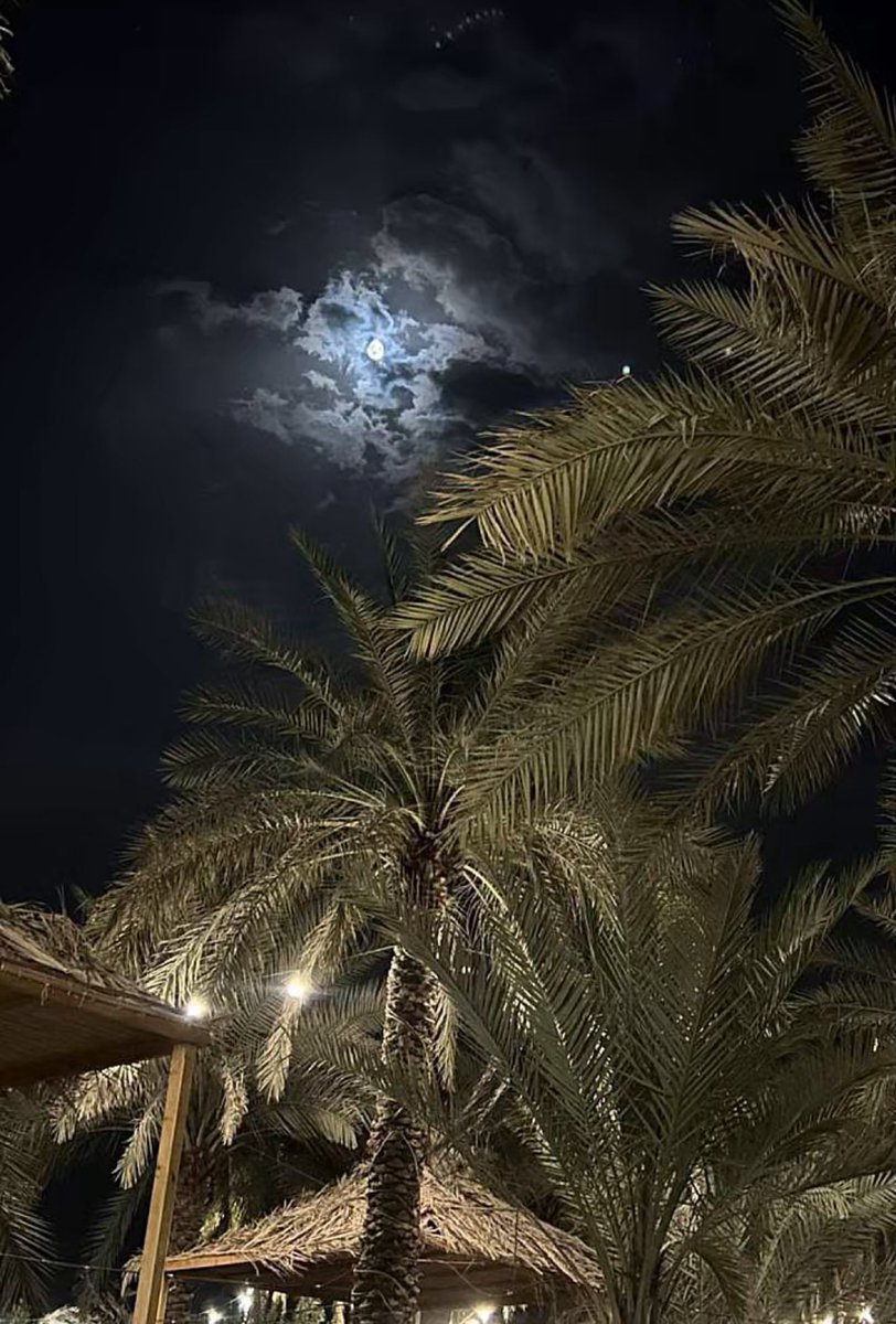 هنوا الوطن youtu.be/mBXtj6Aw1sI?fe… عبر <a href="/YouTube/">YouTube</a>
#خالد_بن_سعودالكبير
 #عباس_ابراهيم
#نبيل_الغانم