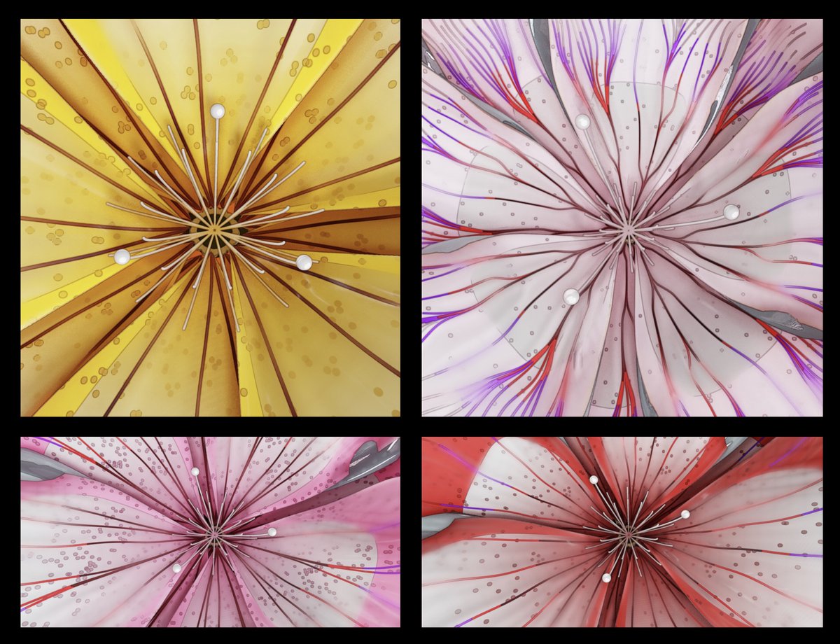 variable tweet media