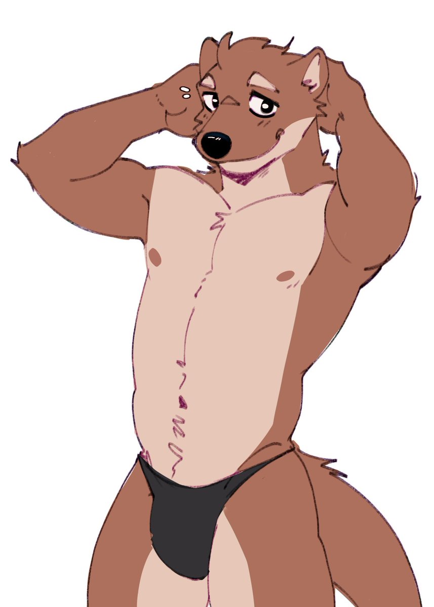 Cute otter in your area