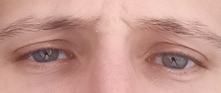 Βίσωνας 🇬🇷☦ tweet media